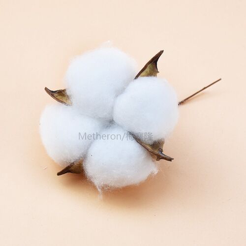 5pcs White cotton Dried flowers christmas decorations for ho