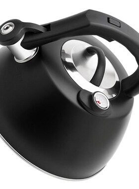 1PC Portable Kettle with Thermometry Tea Kettle Whistling Ke