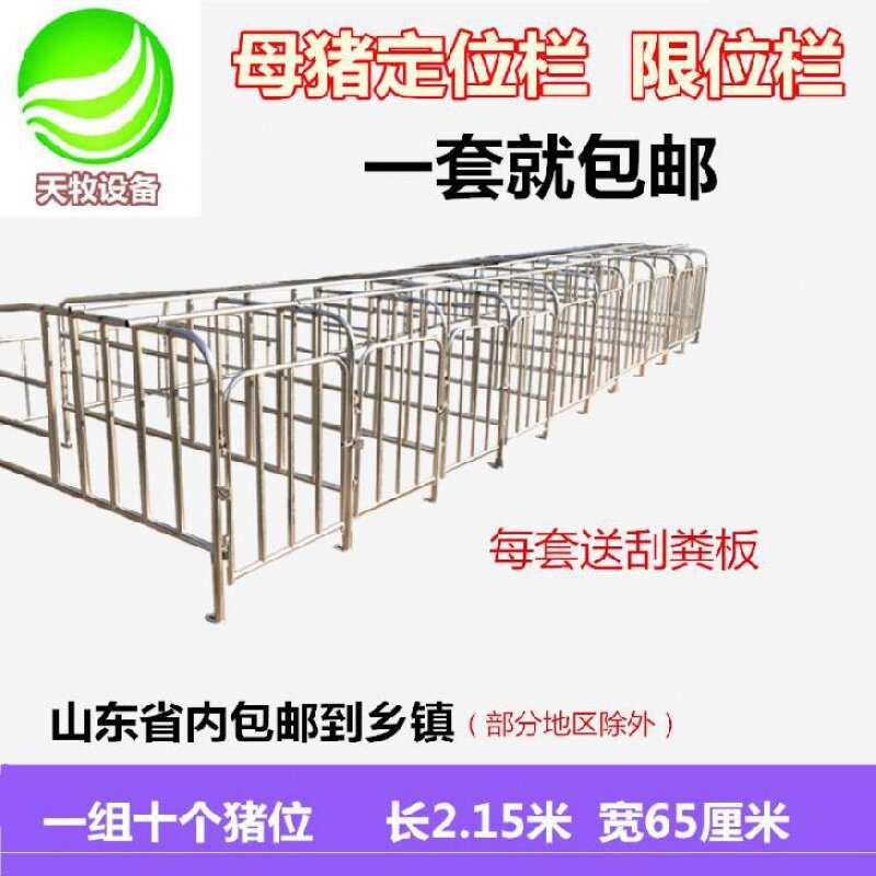 新猪配件围栏g母猪铁围栏猪圈猪栏f栅母猪用限位栏大定位栏猪设备