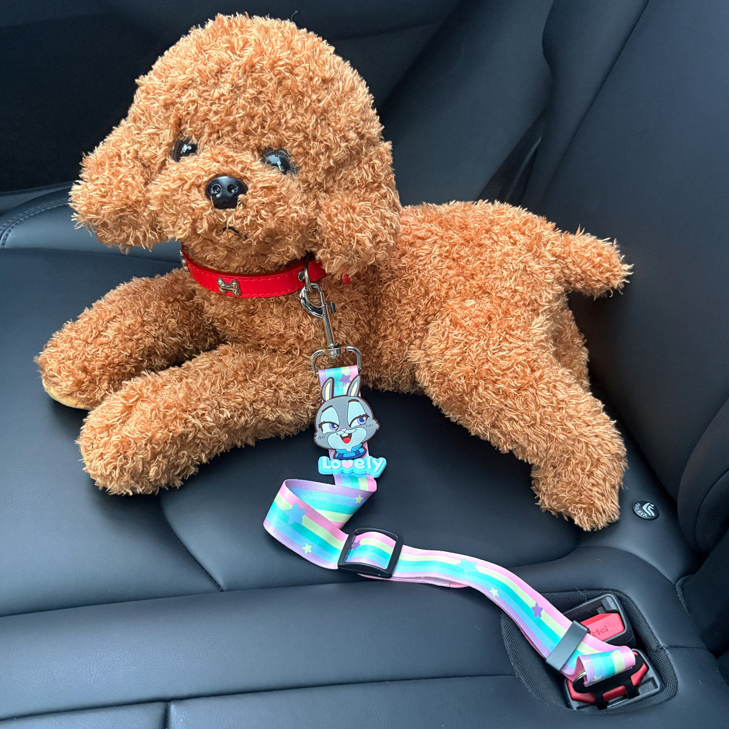 宠物汽车安全带狗狗车载牵引绳安全扣泰迪比熊狗链固定牵引带车用,宠物/宠物食品及用品,猫狗汽车安全带,淘宝优惠券,粉丝福利购,淘宝优惠卷