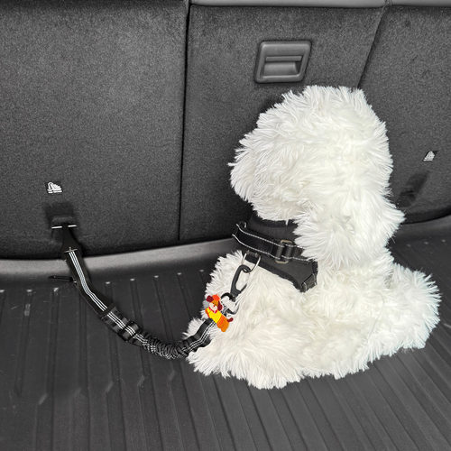 汽车宠物狗猫安全带绳子伸缩牵引