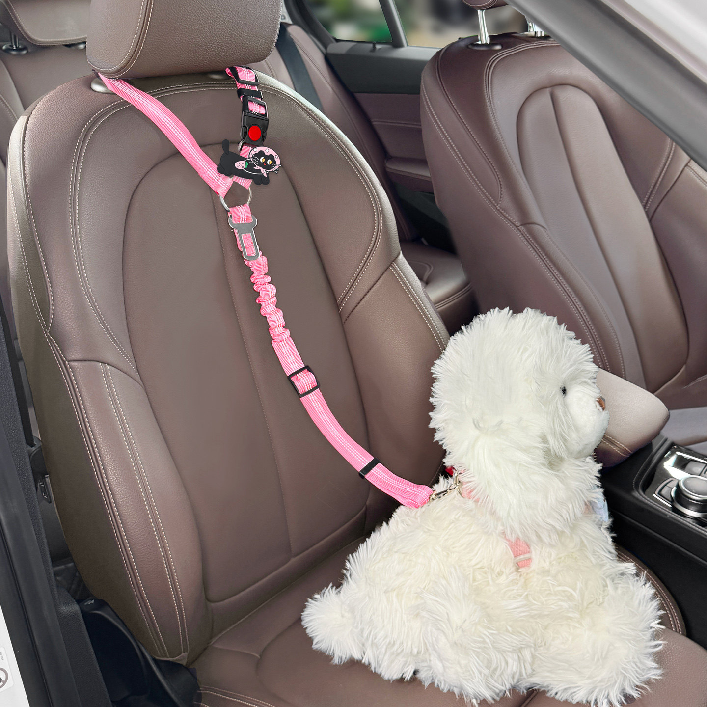 车载宠物安全带坐车安全带安全扣汽车小狗安全带座椅小猫咪绳通用,宠物/宠物食品及用品,猫狗汽车安全带,淘宝优惠券,粉丝福利购,淘宝优惠卷