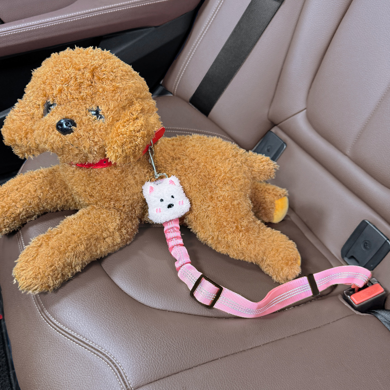 宠物车载安全带可伸缩背带车载