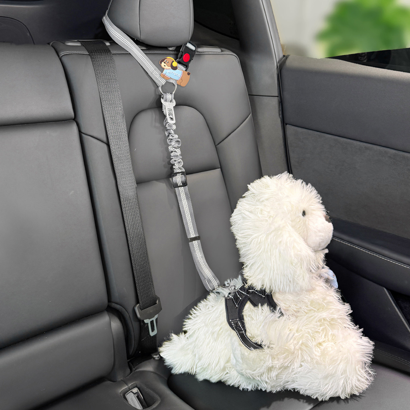 狗狗安全带坐车宠物新款车载安全带安全扣汽车狗安全带座椅猫咪绳,宠物/宠物食品及用品,猫狗汽车安全带,淘宝优惠券,粉丝福利购,淘宝优惠卷