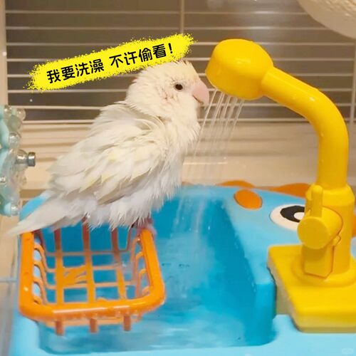 外置自动循环鹦鹉洗澡盆