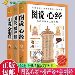 说透人生 文白对照佛经佛 楞严经 3册 金刚经 图解版 图说心经 经典