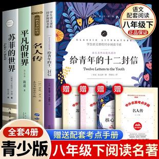 原著苏菲 给青年 十二封信名人传罗曼罗兰平凡 世界路遥正版 世