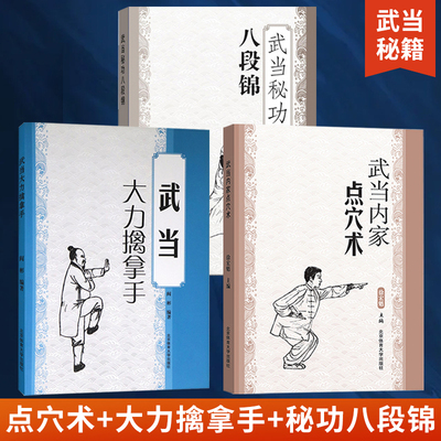 全3册武当内家点穴术+大力擒拿手+秘功八段锦 徐宏魁点穴书籍点穴