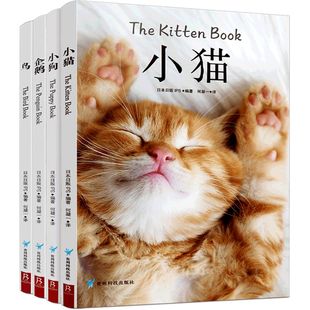 小狗小猫企鹅鸟类图鉴日贩IPS动物图鉴猫咪猫图鉴宠物猫品种图鉴