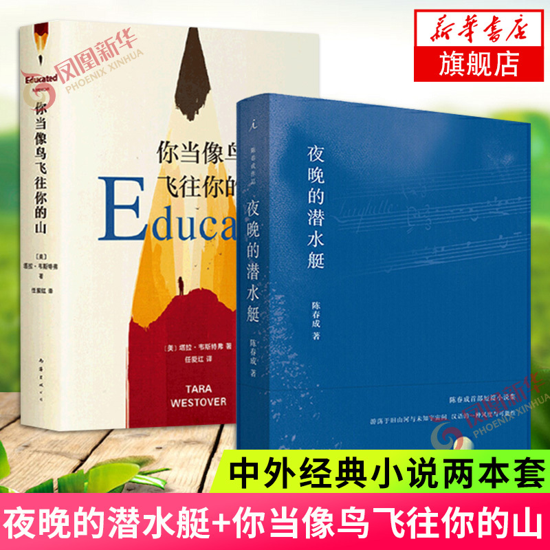 夜晚的潜水艇+你当像鸟飞往你的山共2本套装2册陈春成短篇小说