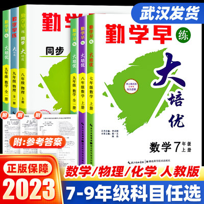 【武汉发货】2024新版勤学早同步大培优名校压轴题好好卷课时导练