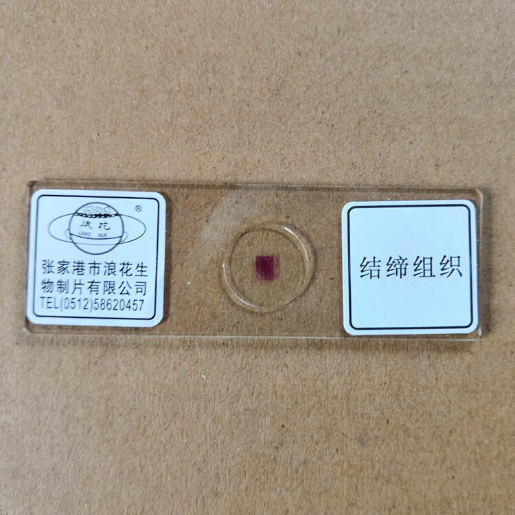 浪.器材人体教具四大组织切片上皮肌肉结缔花神经中考用 牌
