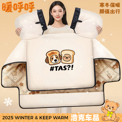 适用雅迪电动车E8/S.Ds5.DT3.H6.M5.T5.G3.E9PRO冬季挡风被防水罩