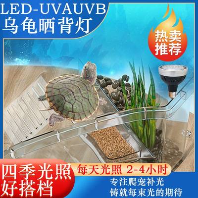 乌龟晒背灯爬宠专用全光谱UVBUVA紫外线补钙灯龟缸led灯泡uvb20.0