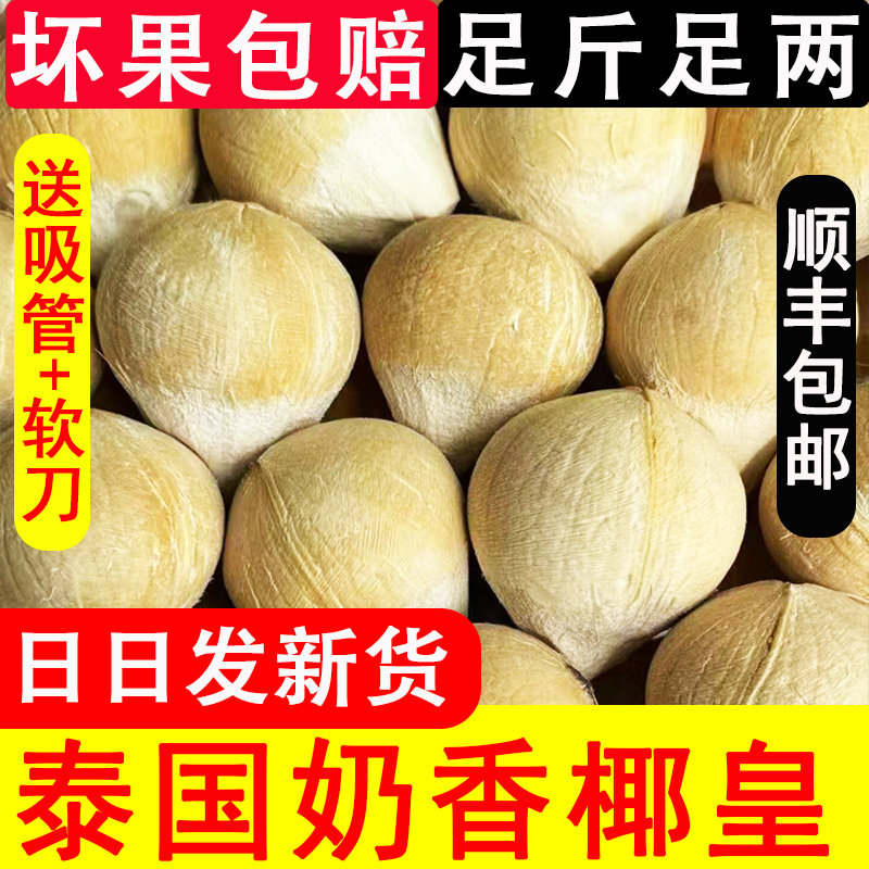 【顺丰包邮】泰国进口椰皇新鲜孕妇水果椰青奶椰香水老椰小奶椰子