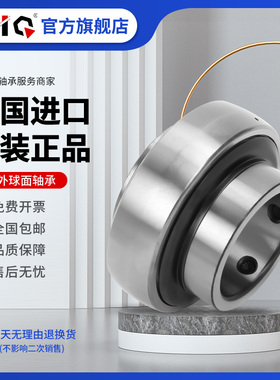 德国进口EIQ轴承HC NA RB 202-10 203-11 204-12 205-14 205-15