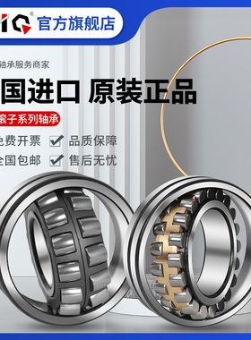 德国进口EIQ轴承 24148 24152 24156 24160-E1-E1A-K-M-C3-C4-XL