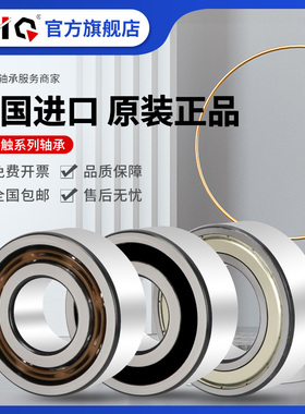 德国进口EIQ轴承306706 306707 306708 306800 306801 306802C-2Z