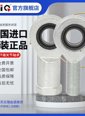 德国进口EIQ轴承GIR GIL 6 8 10 12 15 17 20 25 30 35 40-DO-UK