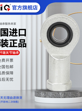 进口EIQ轴承SIL SI 6 8 10 12 15 17 20 25 30 35 40 45 50 60 ES