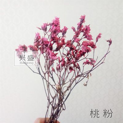 高档2粉0g永生花染料色5苇物着色剂芦植木材大麦用干花染色剂奢华 基财蓓百货店 淘优券