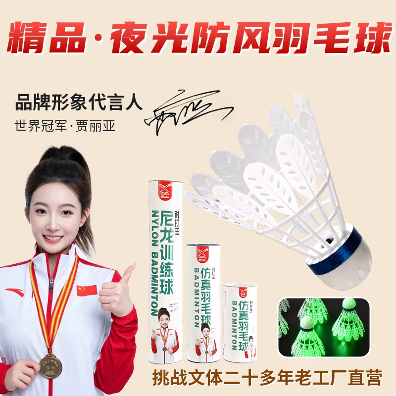 羽毛球耐打防风鹅毛飞行稳定训练