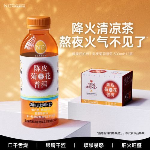 N12菊花普洱养生茶饮品