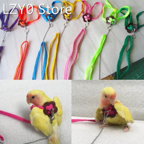 Parrot Bird Leash Outdoor Adjustable Harness Training Rope A
