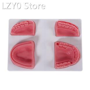 Pro Oral Suture Training Pad Designed with 4 Realistic Silic