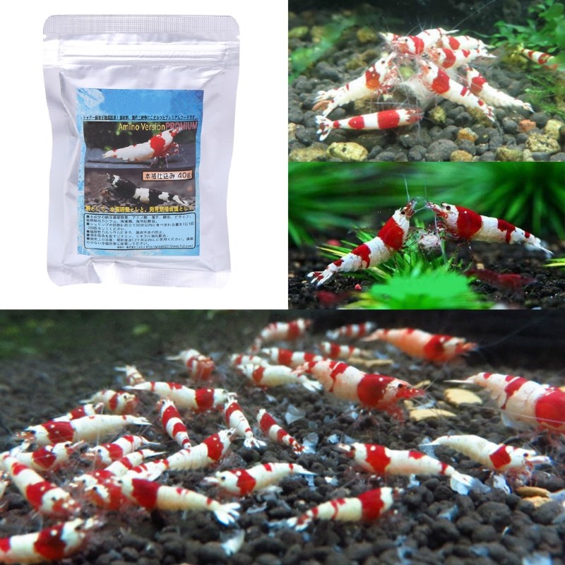 40g Snow Natto Shrimp Snail Food Feed Feeding For Aquarium F