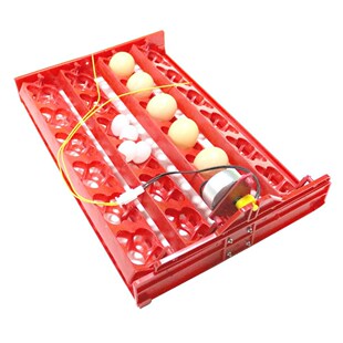 24 Chicken Eggs/96 Bird Eggs Incubator Turn Tray  Chickens