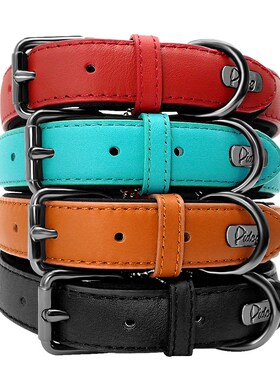 Didog Leather Dog Neoprene Padded Pet Collar Leash Harness