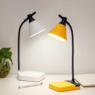 Desk Protect LED Folding Rechargeable Lamp Creative Eye USB