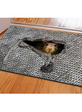 Floor Mat for Entrance Door Anti-slip Door Carpet for Living