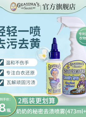美国进口奶奶的秘密衣服去血渍清洁剂衣物去油渍洗衣组合装去渍剂