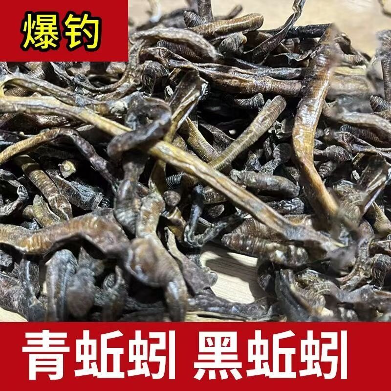 蚯蚓干货鱼饵大黑蚯蚓干黄鳝笼专用诱饵黑坑蚓泥鳅整条地龙干蚯蚓