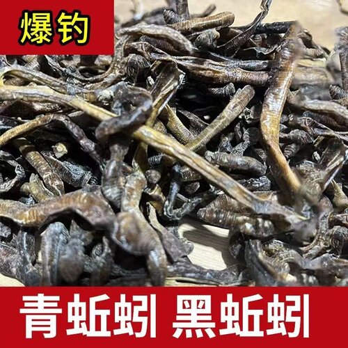 蚯蚓干货鱼饵大黑蚯蚓干黄鳝笼专用诱饵黑坑蚓泥鳅整条地龙干蚯蚓