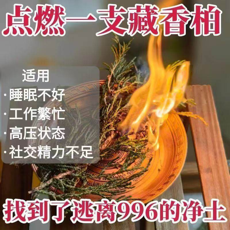 正宗西藏藏香柏枝叶天然香柏叶藏地树枝家用植物香薰料供火柏香枝