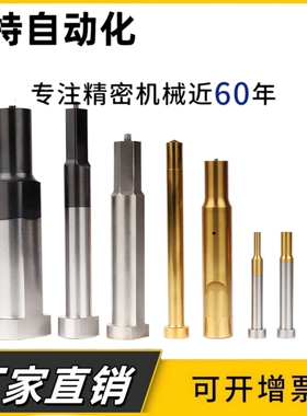 模具冲针冲头镀黑金钛SKD11/DC53/SKH51凸模加硬TD处理涂层冲棒