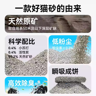 哆来咪D01天然钠基原矿破碎强力除尘低尘环保除臭矿物猫砂5kg10