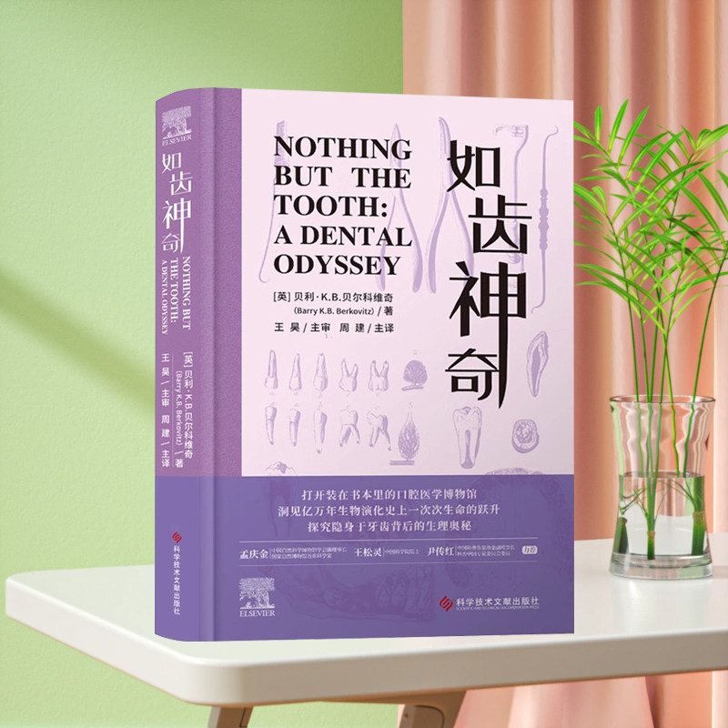 全新正版 如齿神奇 周建译 口腔护理方法 牙齿的结构与功能 口腔健康指南 常见口腔问题 科学技术文献出版社9787523519134