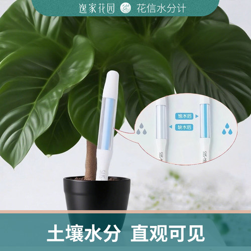 SUSTEE花信植物水分计家用土壤湿度检测仪盆栽浇水养花专用测湿器