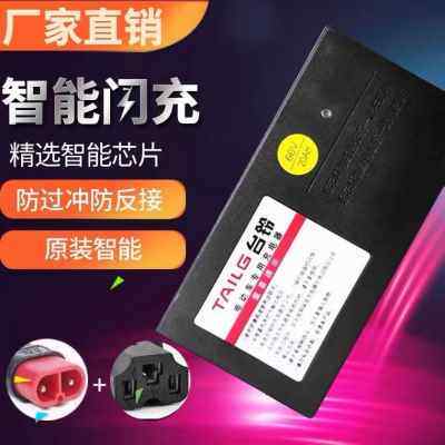 铃充电器H7V200H648V伏12A蓄电池智能2电动车电瓶原装正品铅酸A台