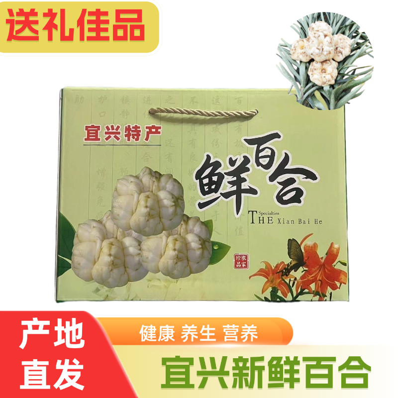 宜兴新鲜百合礼盒装天然无硫鲜百合纯农家食用土特产微苦软糯包邮