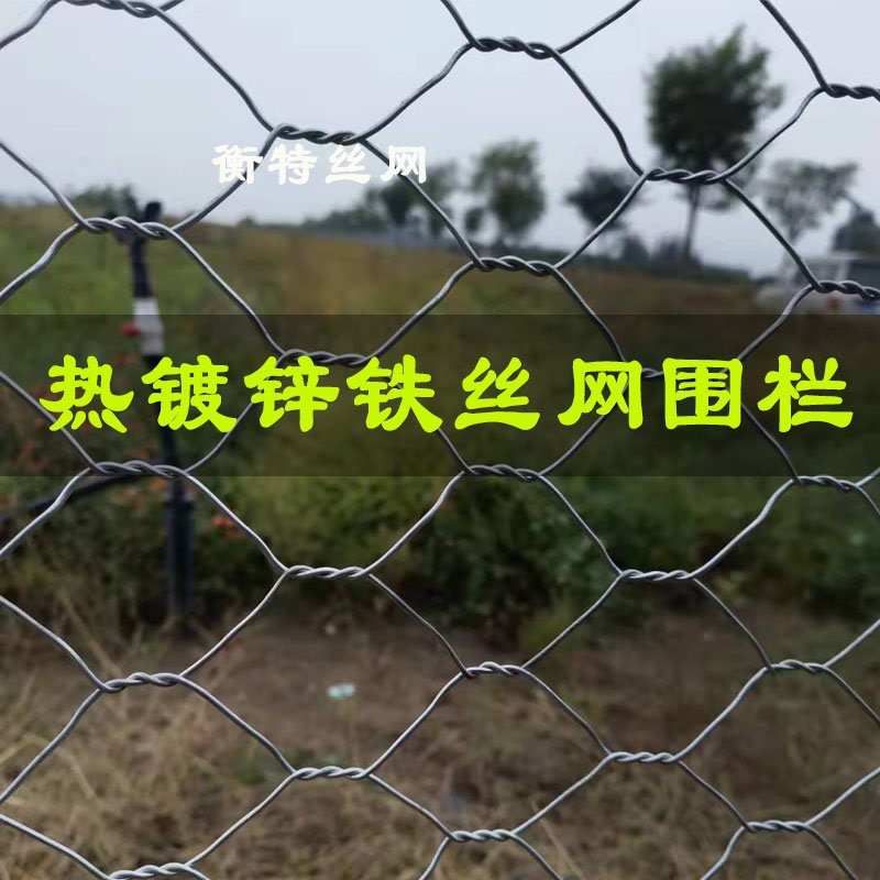 。钢丝网镀锌铁丝网离护栏网装饰养殖牛羊猪围栏网拧隔花网六角网