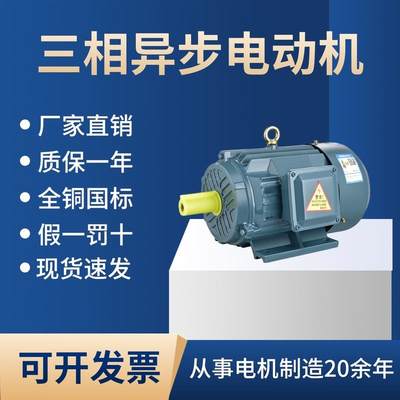 三相全铜电机YE3-90L-4 1.5KW/2.2KW/3KWYE2-90L-2 Y100L-6国标