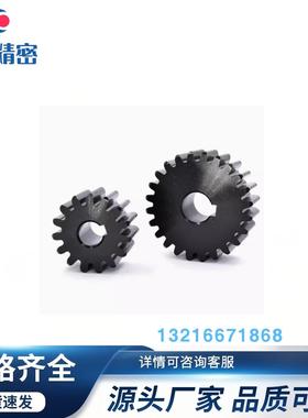 VNR43-3.0-16-B30-A-P12N P13N P14N P15N P19N P23N直齿轮