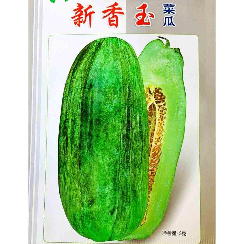 新香玉菜瓜种子绿瓤脆甜甜瓜香瓜蔬菜种籽水果甜瓜高产绿瓤酥种籽