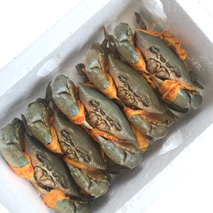 三门青蟹官方旗舰店红膏鲜活水产海鲜特大螃蟹 公蟹膏蟹搭配3斤装