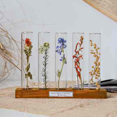 玻璃试管植物标本花卉昆虫树叶干枝真花桌面装饰摆件复古创意礼物